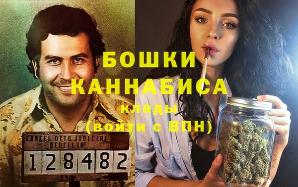 ешки Бородино